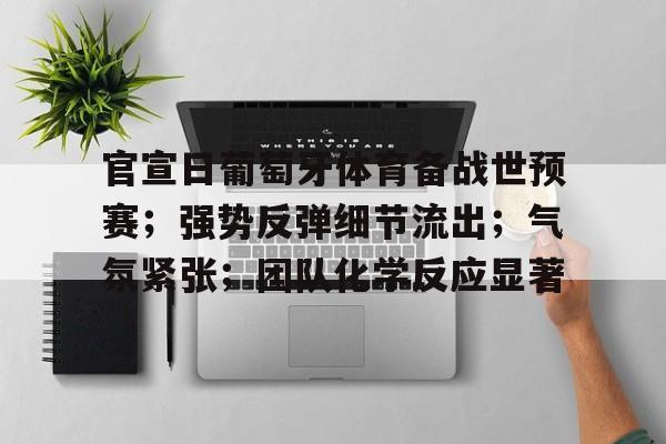 爱游戏-包含官宣日葡萄牙体育备战世预赛；强势反弹细节流出；气氛紧张；团队化学反应显著的词条